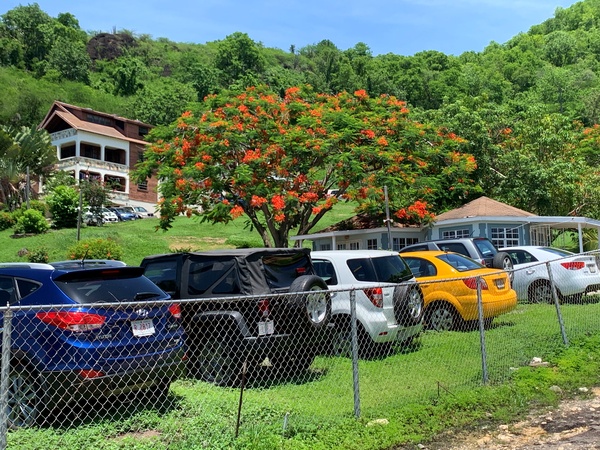 Picture of Tropical rent a car across the street 