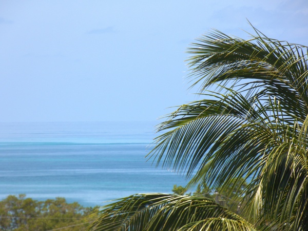 Picture of Balcony Ocean view 